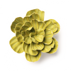 English Garden Ceramic Wall Flower: 3.25" Chartreuse Primrose - Freshie & Zero Studio Shop