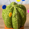 Cactus Pincushion Felt Craft Mini Kit - Freshie & Zero Studio Shop