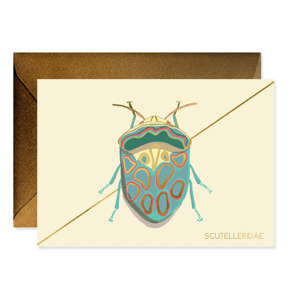 Teal Beetle Stationery Boxed Set of 6 - Freshie & Zero Studio Shop
