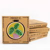 Peacock Plant Embroidery kit - Freshie & Zero Studio Shop