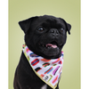 Hot Dogs Pet Bandana - Freshie & Zero Studio Shop