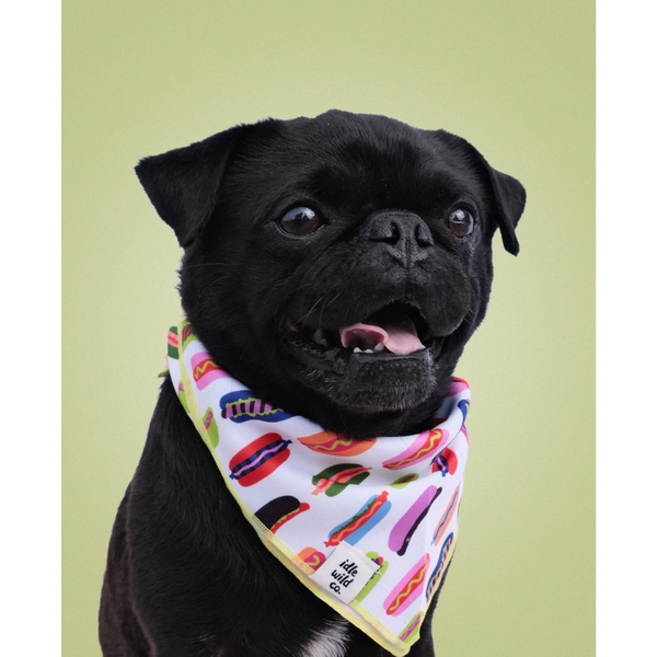 Hot Dogs Pet Bandana - Freshie & Zero Studio Shop