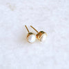 Artisan Stud Earrings: Gold Vermeil White Pearl - Freshie & Zero Studio Shop