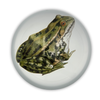 Prince Frog Glass Dome Paperweight - Freshie & Zero Studio Shop