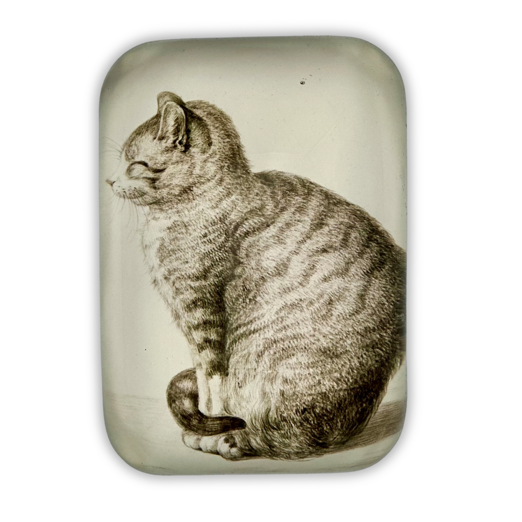 Sleepy Cat Rectangular Glass Paperweight - Freshie & Zero Studio Shop