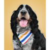Primary Stripes Pet Bandana - Freshie & Zero Studio Shop