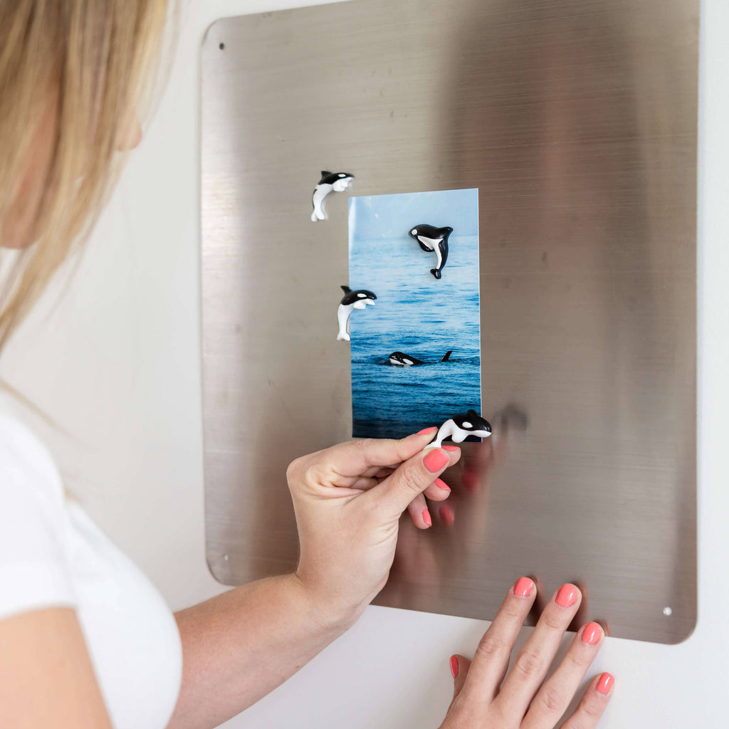 Little Mighty Magnets: Orcas - Freshie & Zero Studio Shop