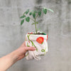 Tomato Tea Towel - Freshie & Zero Studio Shop