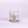 Mimosa Medium Glass Candle by Just Bee - Freshie & Zero Studio Shop