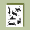 Black Cats All Occasion Greeting Card - Freshie & Zero Studio Shop