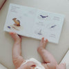 Wishy Washy Board Book by Tabitha Paige - Freshie & Zero Studio Shop