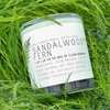 Sandalwood Fern 7oz Just Bee Candle - Freshie & Zero Studio Shop