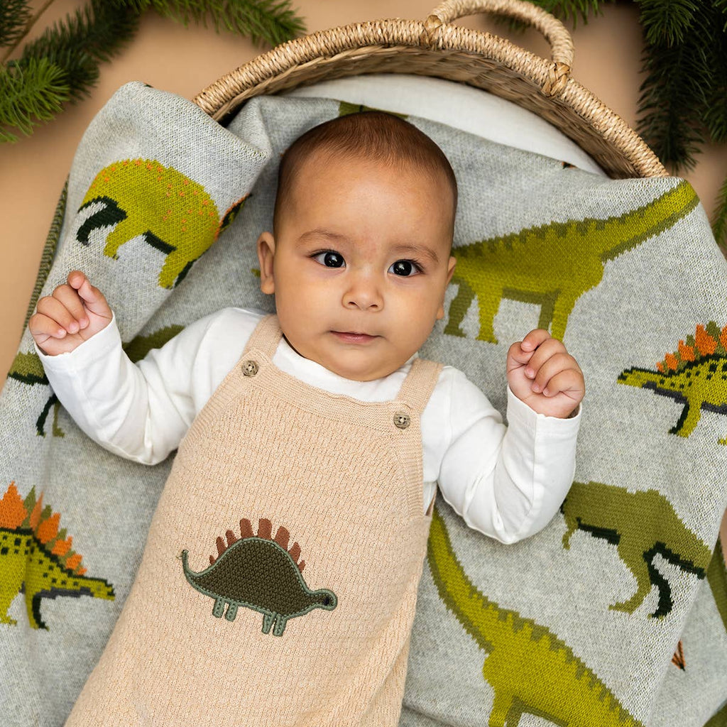 Organic Cotton Baby Blanket - Dinosaurs - Freshie & Zero Studio Shop