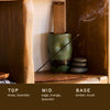 P.F. Candle Co. Incense: Amber & Moss - Freshie & Zero Studio Shop