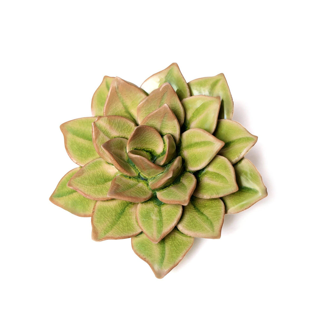 English Garden Ceramic Flower: 4.7" Peridot Green Succulent - Freshie & Zero Studio Shop