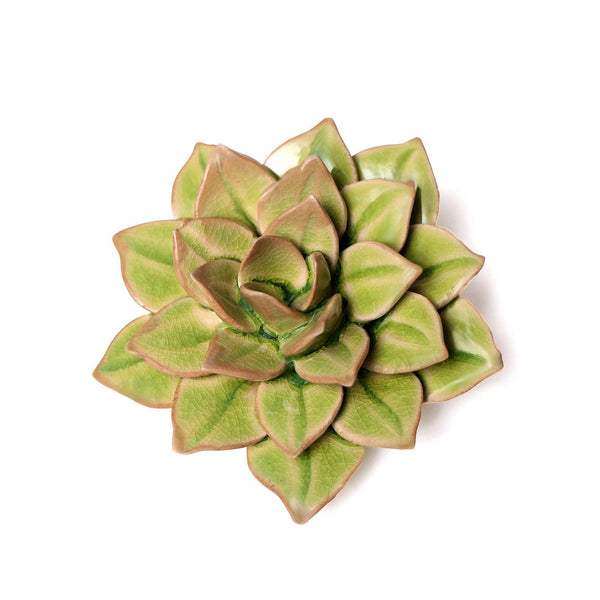 English Garden Ceramic Flower: 4.7" Peridot Green Succulent - Freshie & Zero Studio Shop