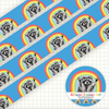 Rainbow Raccoon Washi Tape - Freshie & Zero Studio Shop