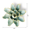 English Garden Ceramic Flower: Robin's Egg Blue Water Lily - Freshie & Zero Studio Shop