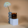 Salt + Sea Soy Candle by Gold + Ivy - 7.5 oz. - Freshie & Zero Studio Shop