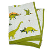 Organic Cotton Baby Blanket - Dinosaurs - Freshie & Zero Studio Shop