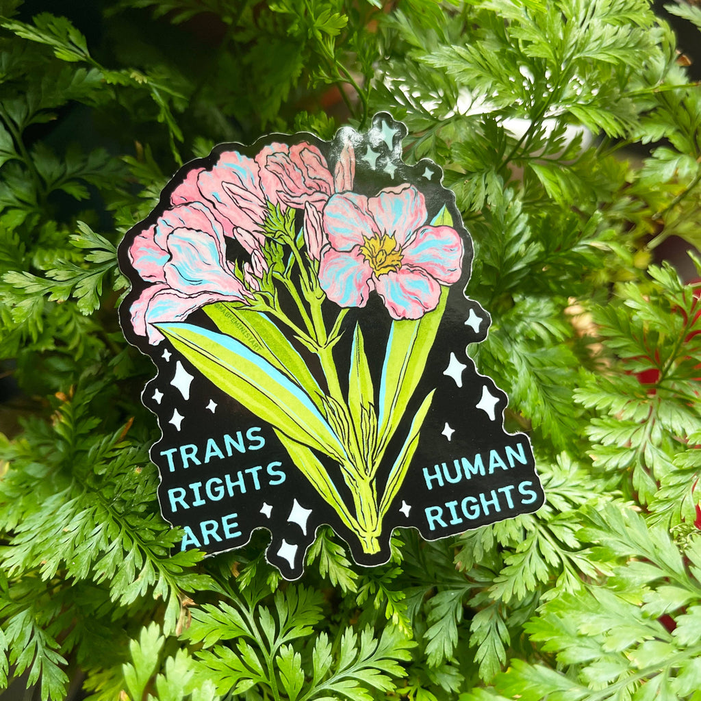 Trans Rights Are Human Rights: LGBTQ Sticker - Freshie & Zero Studio Shop