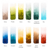 Watercolor Pocket Set of 12 with Brush: Forest - Freshie & Zero Studio Shop