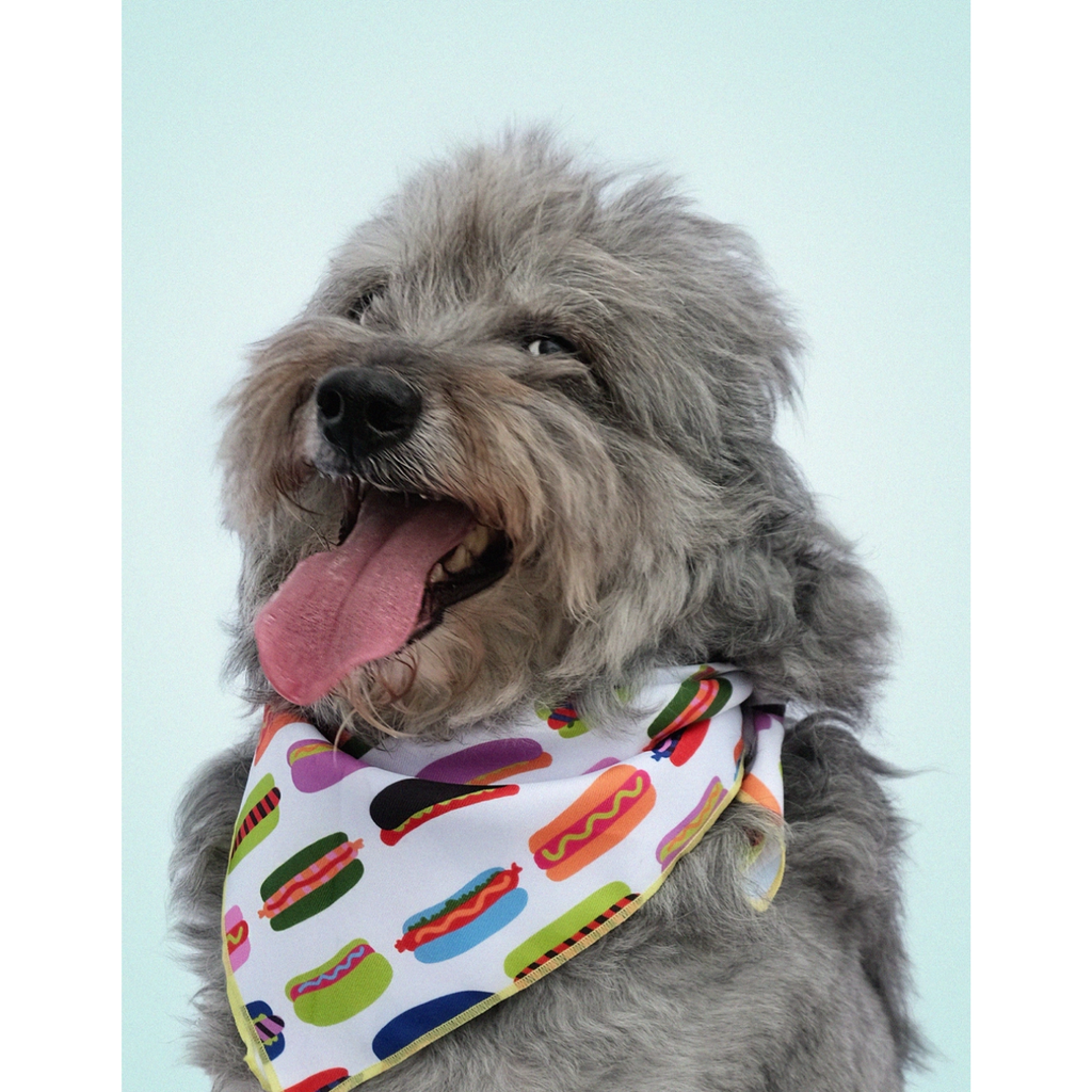 Hot Dogs Pet Bandana - Freshie & Zero Studio Shop