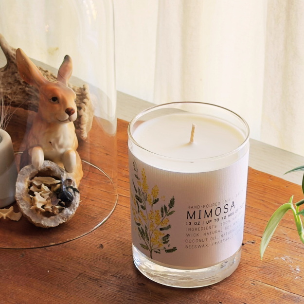 Mimosa Medium Glass Candle by Just Bee - Freshie & Zero Studio Shop