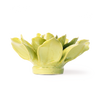 English Garden Ceramic Flower: 4.5" Chartreuse Columbine - Freshie & Zero Studio Shop