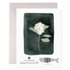 Deepest Sympathies Card by E. Frances Paper - Freshie & Zero Studio Shop