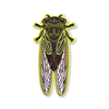 Linne’s Cicada Iron-On Embroidered Patch - Freshie & Zero Studio Shop