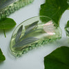 Lotus Claw - White Flower Clear Green Acetate Clip - Freshie & Zero Studio Shop