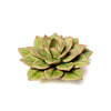 English Garden Ceramic Flower: 4.7" Peridot Green Succulent - Freshie & Zero Studio Shop