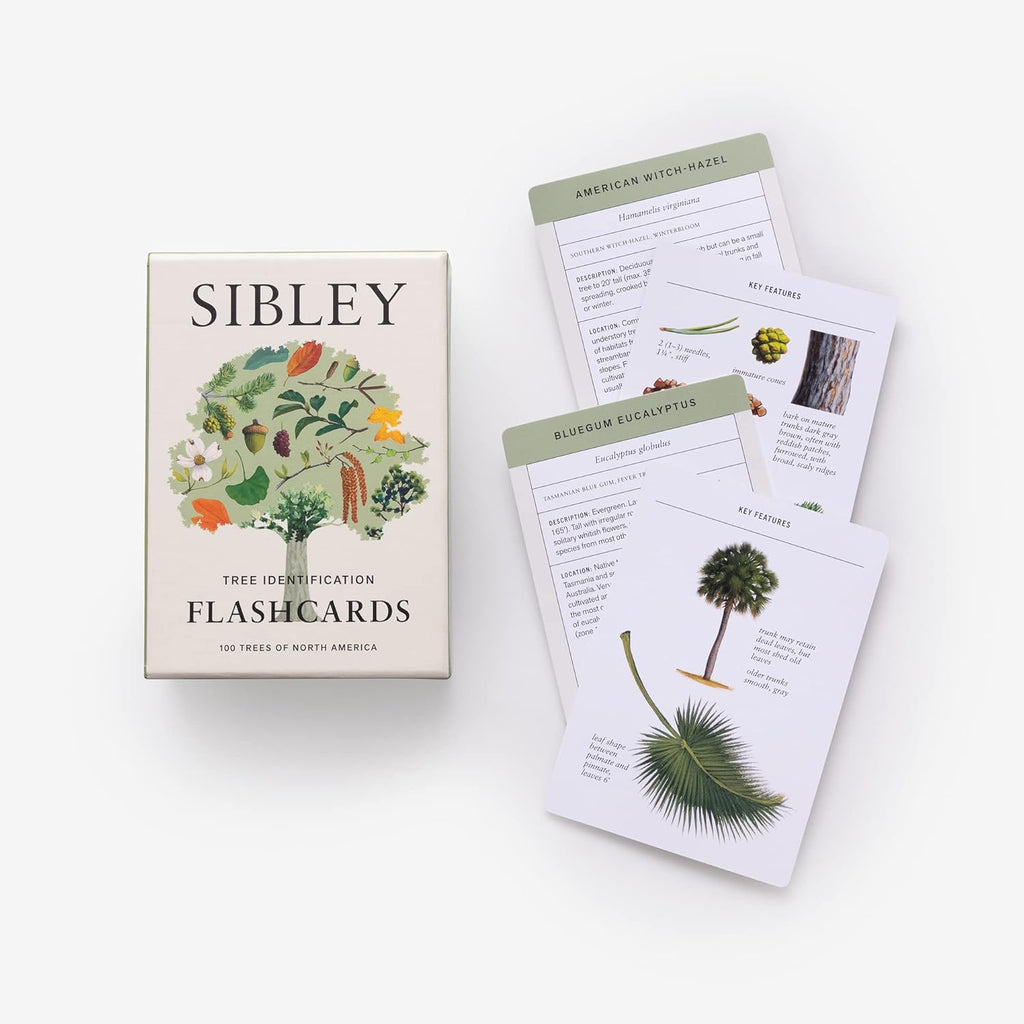 Sibley Tree Identification Flashcards - Freshie & Zero Studio Shop