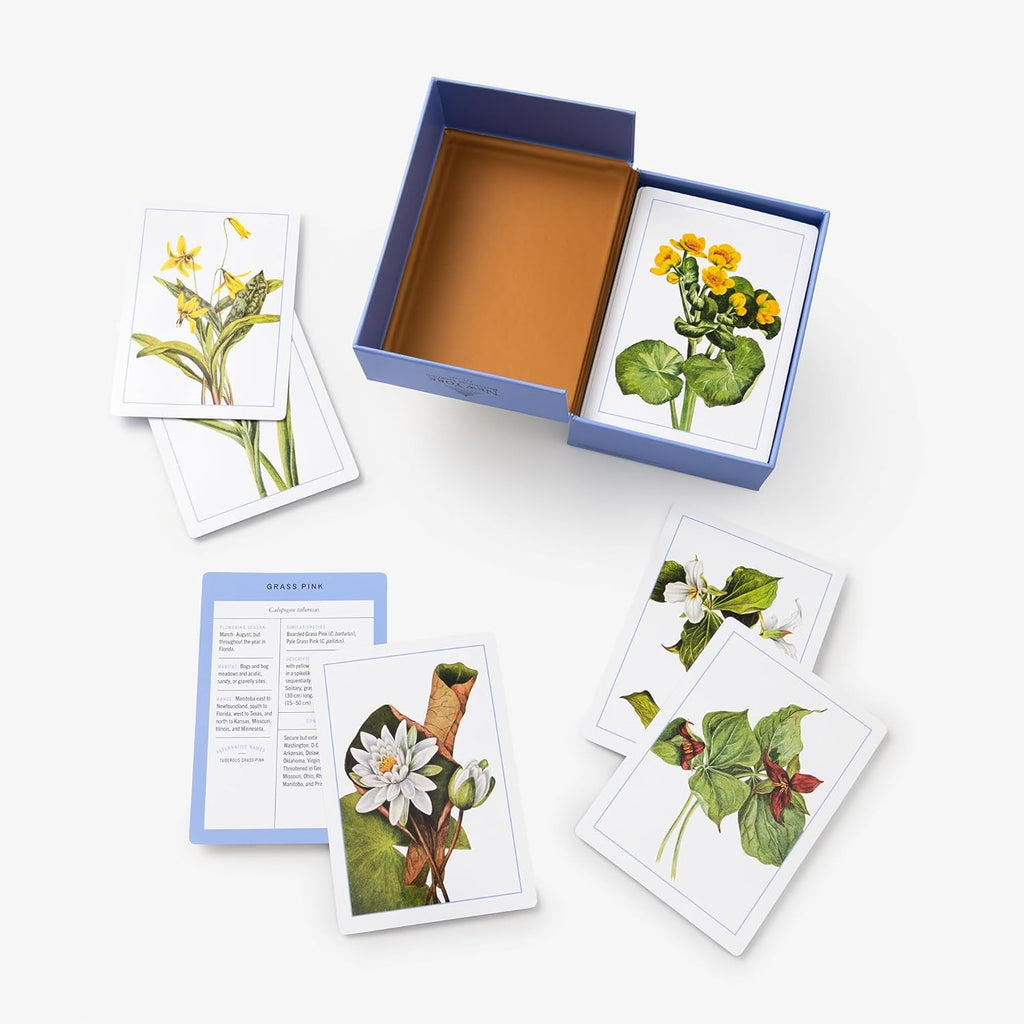 NY Botanical Garden Wildflower Identification Flashcards - Freshie & Zero Studio Shop