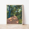 Lady Bird Lake Trail Print: 16×20 - Freshie & Zero Studio Shop
