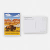 National Parks Postcard Box Set - Freshie & Zero Studio Shop