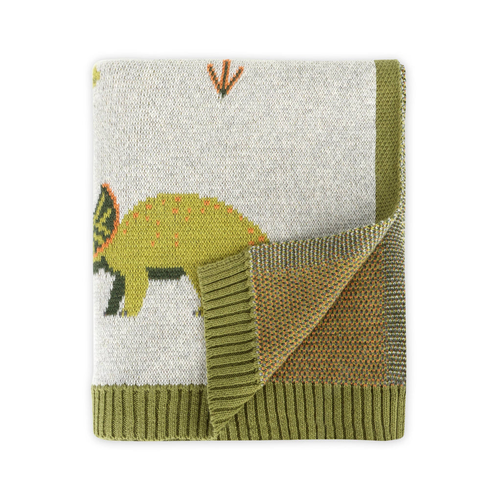 Organic Cotton Baby Blanket - Dinosaurs - Freshie & Zero Studio Shop
