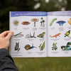 Watercolor In Nature: Woodland Wildlife & Botanicals - Freshie & Zero Studio Shop