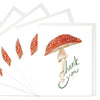 Mushroom Boxed Thank You Cards - Set of 6 - Freshie & Zero Studio Shop