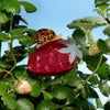 Strawberry Snail Hair Claw Clip - Freshie & Zero Studio Shop