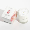 Mermaid Kisses Soy Candle: Amber Musk Citrus Jasmine - Freshie & Zero Studio Shop