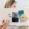 Salmon magnets - Freshie & Zero Studio Shop