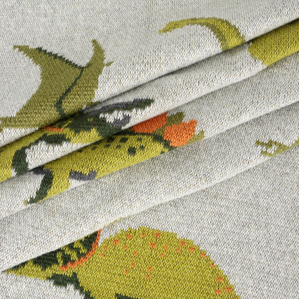Organic Cotton Baby Blanket - Dinosaurs - Freshie & Zero Studio Shop