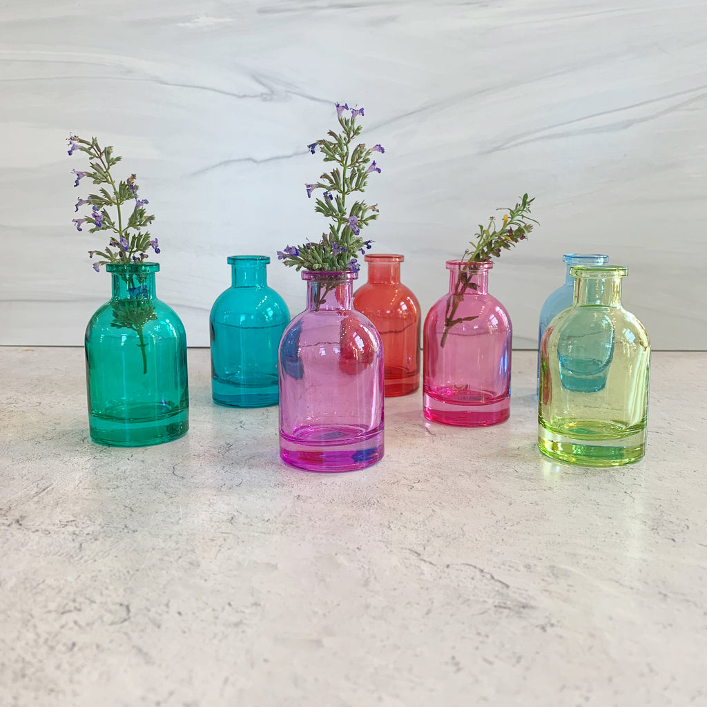 Mini Glass Tall Bottle Bud Vases - Freshie & Zero Studio Shop