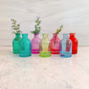 Mini Glass Tall Bottle Bud Vases - Freshie & Zero Studio Shop