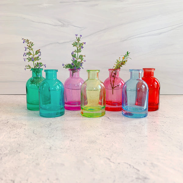 Mini Glass Tall Bottle Bud Vases - Freshie & Zero Studio Shop