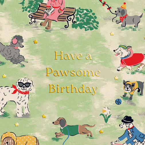 Cath Kidston Park Dogs Birthday Card - Freshie & Zero Studio Shop