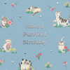 Purrfect Kittens Blue Birthday Card - Freshie & Zero Studio Shop