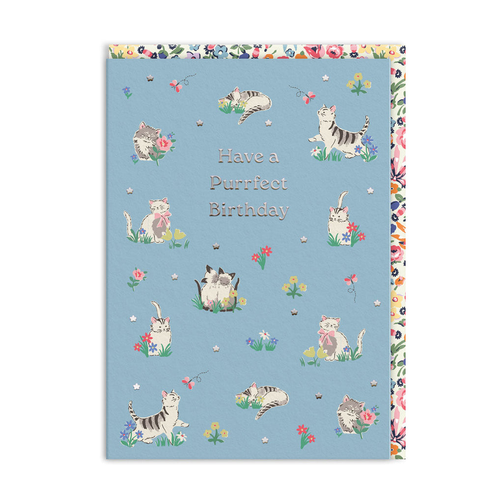 Purrfect Kittens Blue Birthday Card - Freshie & Zero Studio Shop